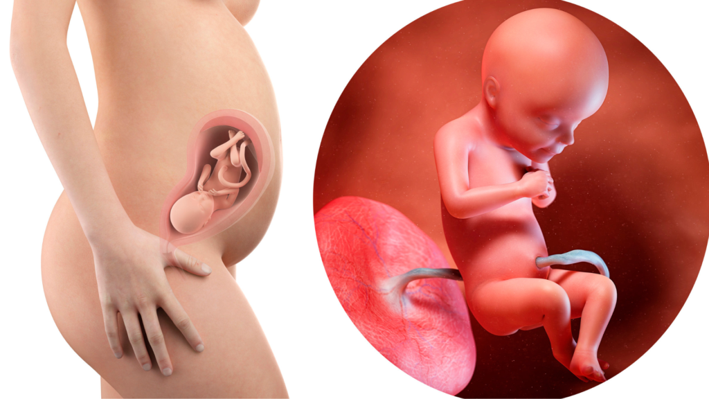 Lợi ích thai giáo - Gắn kết tình cảm mẹ và bé